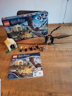 Lego Harry Potter 75946 Hongaarse Hoornstaart - Compleet!, Kinderen en Baby's, Speelgoed | Duplo en Lego, Ophalen of Verzenden