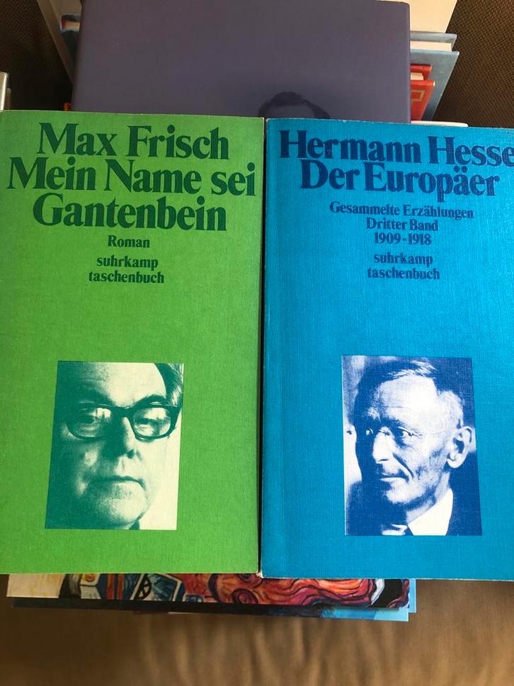 Frisch & Hesse - 2 Duitse romans, Boeken, Literatuur, Gelezen, Europa overig, Ophalen of Verzenden