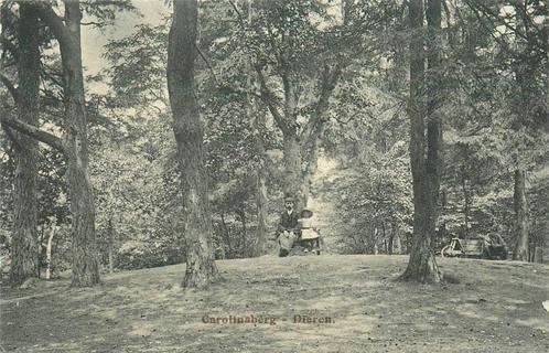 (388-009-017) Dieren Carolinaberg, Verzamelen, Ansichtkaarten | Nederland, Gelderland, Verzenden