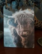 Decpratie bordjes 19x14cm, Minder dan 50 cm, Nieuw, Ophalen of Verzenden, Schilderij