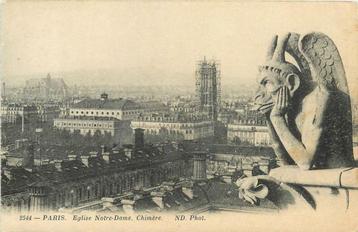 (376-161-021) Paris Notre Dame beschikbaar voor biedingen