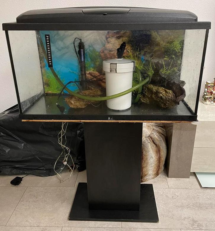 Mooi aquarium 80x40x35 complete met hout stande te koop, Dieren en Toebehoren, Vissen | Aquaria en Toebehoren, Gebruikt, Leeg aquarium