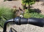 Elektronische dames fiets, Zo goed als nieuw, 50 km per accu of meer, 55 tot 59 cm, Ophalen