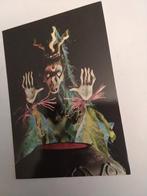 THE LITTLE ANGEL MARIONETTE THEATRE/ THE SEA WITCH, Ophalen of Verzenden, 1980 tot heden, Sterren en Beroemdheden