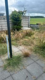 Tegel 50x50 - 50m2, Ophalen, Zo goed als nieuw, 10 m² of meer, Beton