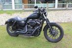 Harley-Davidson Sportster XL 883 XL 883 Sportster Iron, Bedrijf, 2 cilinders, 883 cc, Chopper