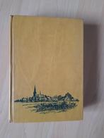 DORP AAN DE RIVIER  Antoon Coolen, Boeken, Ophalen of Verzenden, Gelezen