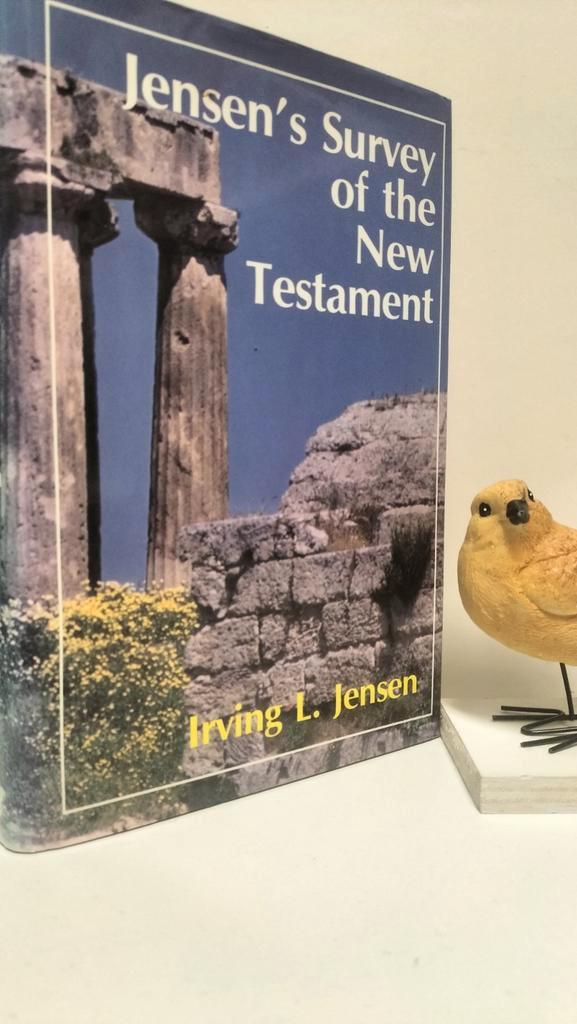 Jensen, L.; Jensen’s survey of the New Testament, Boeken, Godsdienst en Theologie, Gelezen, Christendom | Protestants, Ophalen of Verzenden