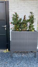 Bloembak wicker grijs, Tuin en Terras, Bloembakken en Plantenbakken, Ophalen, Zo goed als nieuw, Kunststof