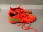 Zaalschoenen Adidas model predator, Gebruikt, Maat XS of kleiner, Schoenen, Ophalen of Verzenden