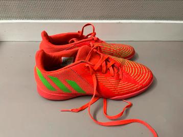 Zaalschoenen Adidas model predator beschikbaar voor biedingen
