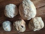 Uitverkoop geode ( gesloten ), Verzamelen, Mineralen en Fossielen, Verzenden, Mineraal