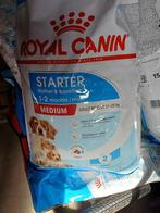 Te koop 2 zakken Royal canin starter medium, Dieren en Toebehoren, Dierenvoeding, Hond, Ophalen