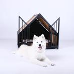 Lieve Pomsky pup van 6 maanden,, LEES DE ADVERTENTIE GOED, Dieren en Toebehoren, 15 weken tot 1 jaar, Eén hond, Nederland, Particulier