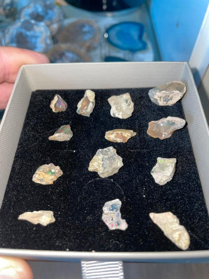 Ruwe Ethiopische Opaal - 49.5 Karaat - Veelkleurig Vuur, Verzamelen, Mineralen en Fossielen, Mineraal, Ophalen of Verzenden