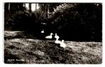 Wesepe, Boxbergen, Verzamelen, Ansichtkaarten | Nederland, Verzenden, 1960 tot 1980, Gelopen, Gelderland