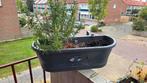 Grijze Elho plantenbak met haken voor balkon met schade, Ophalen, Kunststof, Gebruikt, Minder dan 30 cm