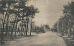 Den Dolder Doldersche Weg, Verzamelen, Ansichtkaarten | Nederland, Verzenden, Voor 1920, Ongelopen, Utrecht