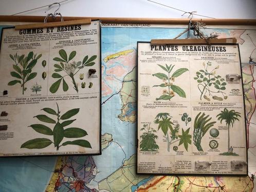 Twee franstalige, antieke oude schoolplaten (natuurkunde), Antiek en Kunst, Antiek | Schoolplaten, Natuur en Biologie, Ophalen of Verzenden