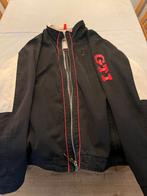 Volkswagen GTI jas, Kleding | Heren, Zwart, Volkswagen, Overige maten, Ophalen of Verzenden