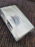 Insect in hars 4 x 7 cm insecten, Overige soorten