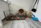 Hamsterkooi aquarium, Dieren en Toebehoren, Zo goed als nieuw, 75 tot 110 cm, Ophalen, Minder dan 60 cm