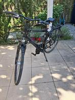 Herenfiets Pegasus Piazza Hybride, Gebruikt, Versnellingen, 53 tot 57 cm, Ophalen
