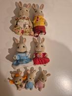 Sylvanian Families Konijnen Familie, Ophalen of Verzenden, Gebruikt, Overige typen