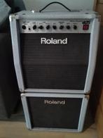 Roland Tube Logic 405 gitaar versterker, Minder dan 50 watt, Ophalen of Verzenden, Gitaar, Zo goed als nieuw