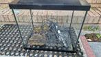 SuperFish aquarium + 10 GUPPIES, Dieren en Toebehoren, Vissen | Aquaria en Toebehoren, Ophalen, Gebruikt, Leeg aquarium