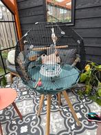 Omlet GEO Vogelkooi met Accessoires, Ophalen of Verzenden, Zo goed als nieuw, Kunststof, Vogelkooi