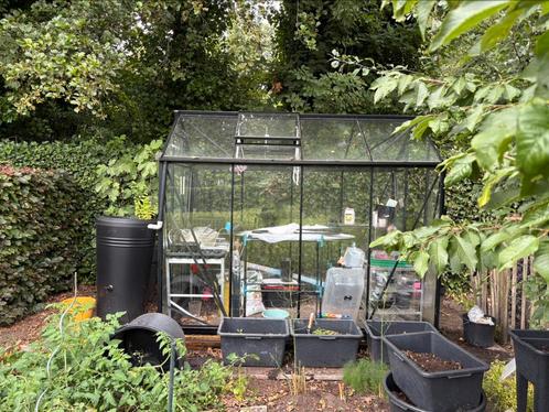 Tuinkas Eden Birdlip zwart, Tuin en Terras, Kassen, Zo goed als nieuw, Aluminium, Glas, Ophalen