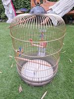 Mooie ronde vogelkooi met speelgoed en nieuwe voerbakjes, Ophalen of Verzenden, Gebruikt, Metaal, Vogelkooi