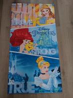 Nieuwe Disney Princess Badhanddoek 70x135cm, Ophalen of Verzenden, Nieuw, One size, Zwem-accessoire