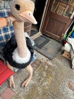 Struisvogel Knuffel - Kermiswinst, Ophalen, Gebruikt, Overige typen