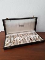 Gebakvorkjes in beklede doos, Ophalen of Verzenden