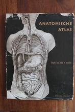 Prof dr Chr P Raven - Anatomische Atlas met wandposter, Ophalen of Verzenden, Gelezen, Natuurwetenschap