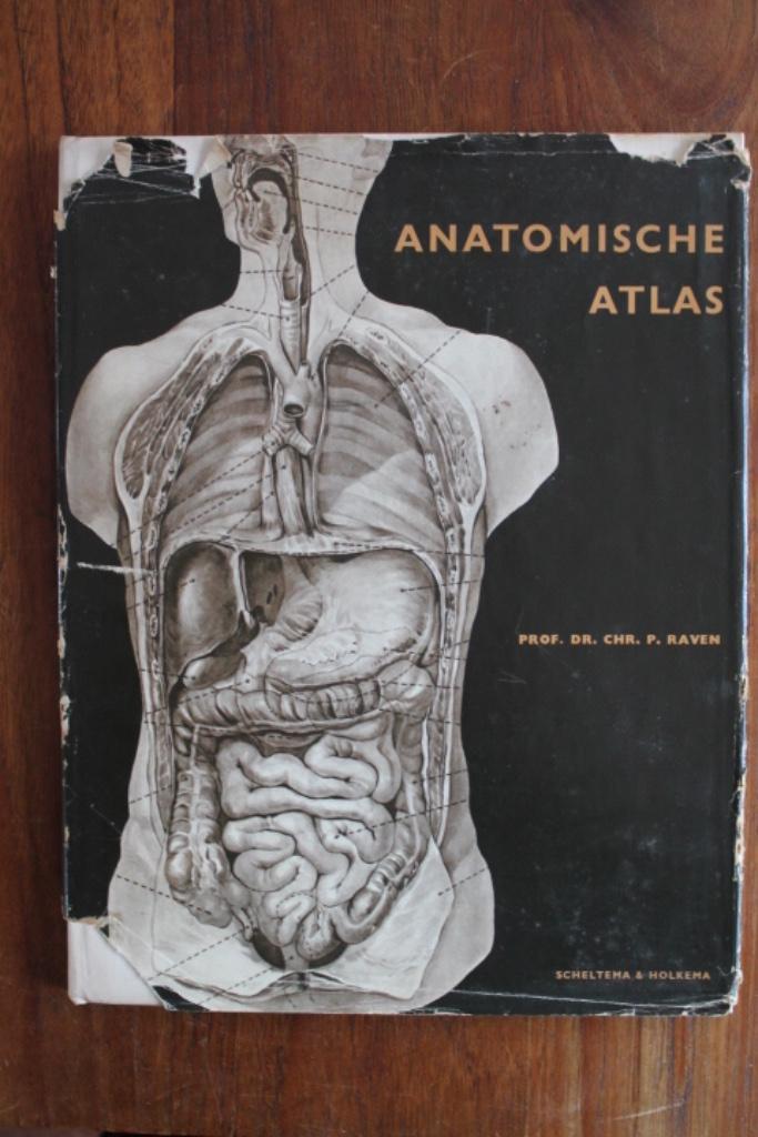 Prof dr Chr P Raven - Anatomische Atlas met wandposter, Boeken, Wetenschap, Gelezen, Natuurwetenschap, Ophalen of Verzenden
