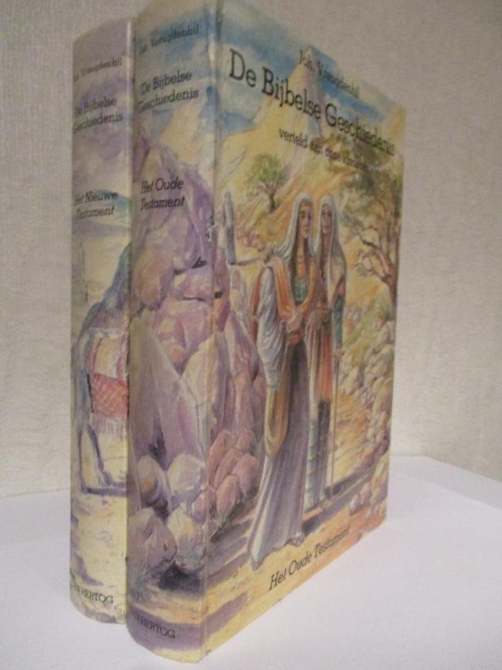 Joh. Vreugdenhil: De Bijbelse Geschiedenis (2 delen)., Boeken, Godsdienst en Theologie, Gelezen, Christendom | Protestants, Ophalen of Verzenden