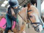 Verzorgpony gezocht/bijrijder aangeboden, Dieren en Toebehoren, Paarden en Pony's | Verzorgingsproducten, Ophalen of Verzenden