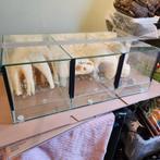 Spinnenstraat, Dieren en Toebehoren, Ophalen of Verzenden, Zo goed als nieuw, Terrarium of Paludarium
