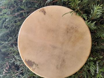 Mooie traditionele sjamanendrum van  Eland beschikbaar voor biedingen