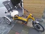 Van Raam Easy rider Driewieler, Fietsen en Brommers, Fietsen | Driewielfietsen, Ophalen, Gebruikt, Van Raam Easy Rider