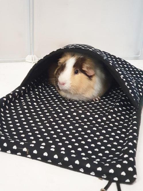 * Handgemaakte Cavia artikelen in diverse prints / kleuren, Dieren en Toebehoren, Knaagdieren en Konijnen | Toebehoren, Nieuw