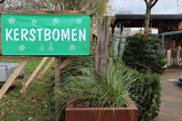 ** Kestbomen ** te koop Nordmann & Servische spar ROOSENDAAL beschikbaar voor biedingen