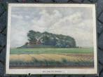 Een terp bij Dokkum, Antiek en Kunst, Antiek | Schoolplaten, Ophalen of Verzenden, Aardrijkskunde