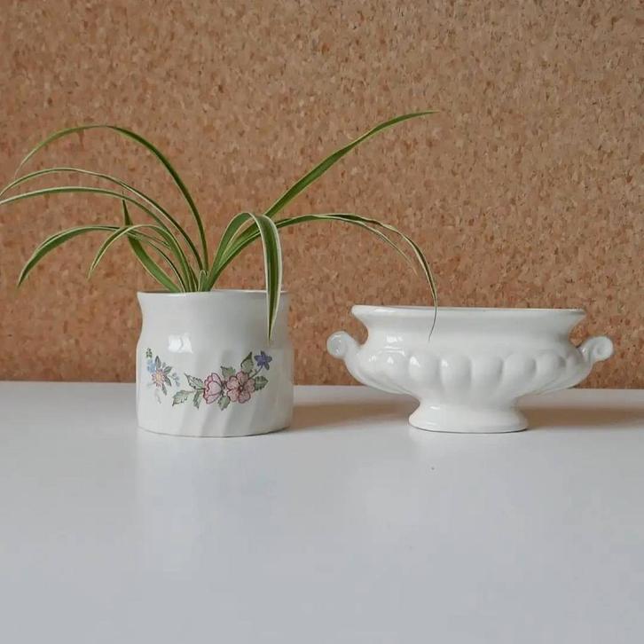 Vintage cactuspotje en bloempotje, Tuin en Terras, Bloempotten, Zo goed als nieuw, Aardewerk, Binnen, Minder dan 40 cm, Minder dan 25 cm