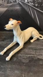 Schitterend porseleinen beeld van een Whippet hond merk Gout, Verzamelen, Beelden en Beeldjes, Ophalen of Verzenden, Zo goed als nieuw