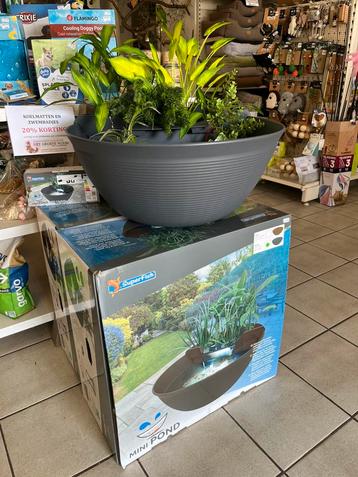Terrasvijver met filterpomp beschikbaar voor biedingen