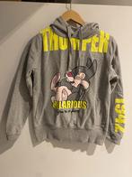 Disneyland Paris Stamppertje trui dames, Ophalen, Disney, Maat 36 (S), Grijs